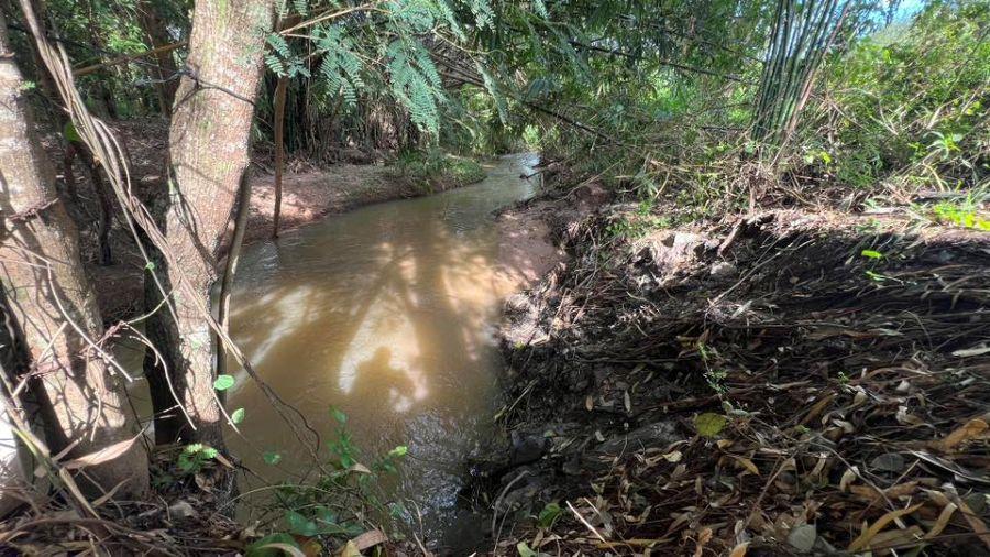 ขายที่ดิน ทับมา ระยอง แปลงสวย วิวธรรมชาติ ติดคลอง 8-2-93 ไร่ 3