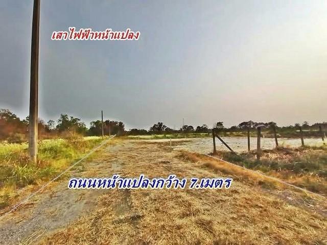 ที่ดินถมแล้วลดแรงเจ้าของร้อนเงินโซนหนองจอก (สุวินทวงค์ 94 / 1) Tel 062-1574449 4