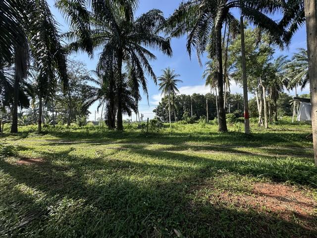 อย่าพลาดดีลเด็ดโปรดี ที่ดินใกล้ทะเลวิวสวยมาก แปลงเล็กวาละ 6800 อ.บางสะพานน้อย จ.ประจวบคีรีขันธ์ 1