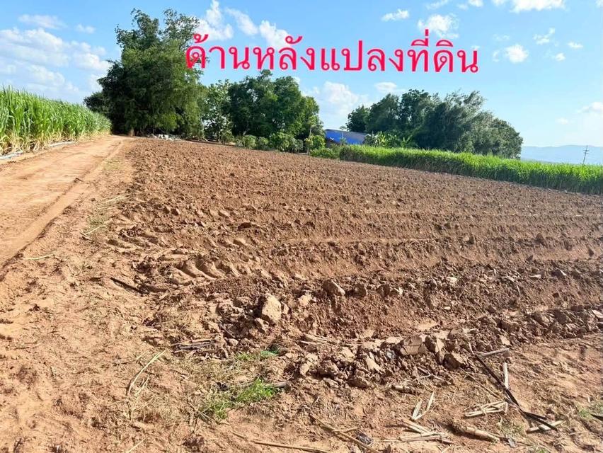 ขายด่วน ที่ดินมีโฉนดพร้อมโอนเนื้อที่1 ไร่ ทำเลดี ใกล้ปั้ม ปตท หลุมรัง ราคา 290,0000 บาท 3