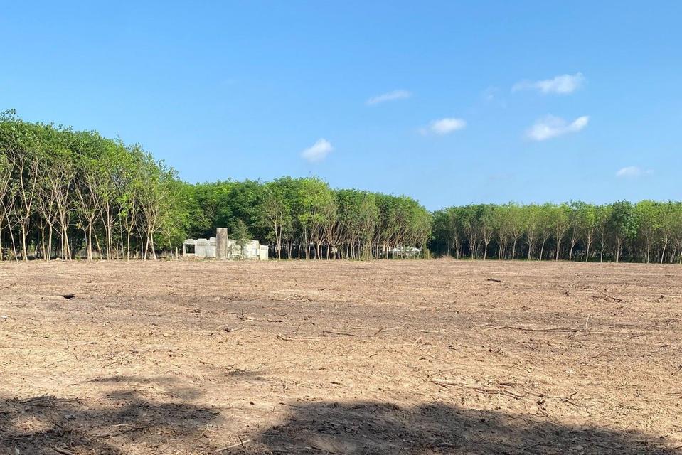 ที่ดิน แบ่งขายที่ดิน 4