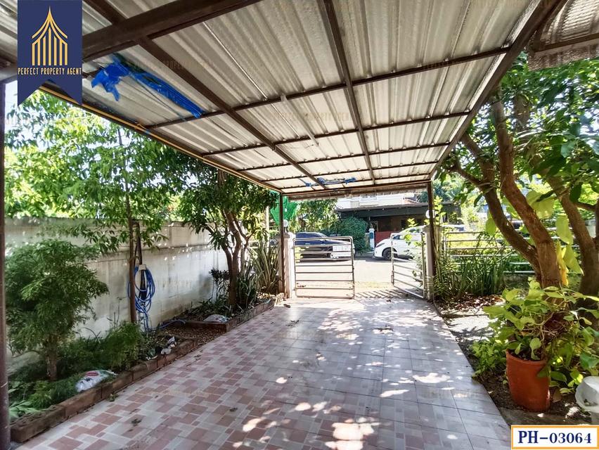 ขาย บ้านเดี่ยว พัชรวิลล์ 2 สงบ ร่มรื่น ถนนพุทธมณฑลสาย 4 กระทุ่มล้ม สามพราน นครปฐม 4