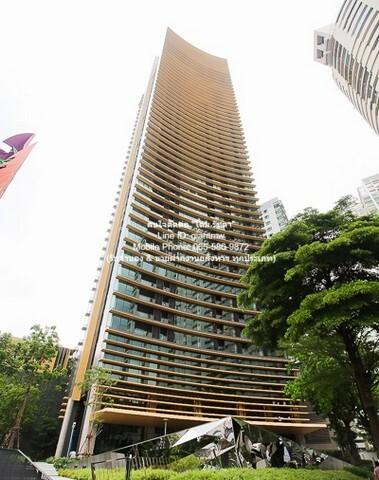 condo The Lumpini 24 เดอะ ลุมพินี 24 33000 BAHT 1นอน พื้นที่ = 32 ตร.-ม. ลดจัดหนัก!!