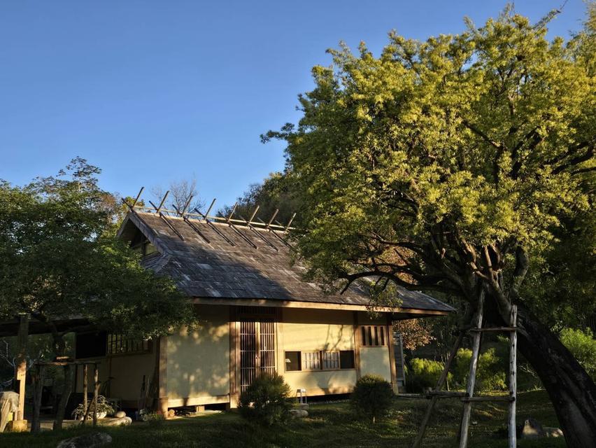 ขายที่ดินพร้อมสิ่งปลูกสร้าง ต.แม่แรม อ.แม่ริม เชียงใหม่ 5