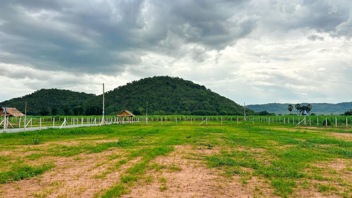 ที่ดินทำบ้านสวน วิวภูเขา น้ำไฟเน็ตพร้อม ทำเลดี ใกล้ กทม. 9