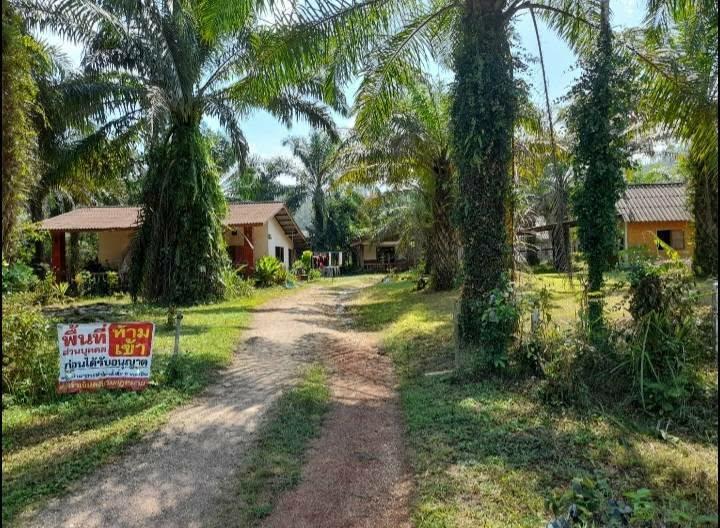 ที่ดิน 20 ไร่ ไร่ละ 3แสน 5