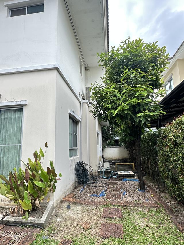 ขายบ้าน หมู่บ้านชัยพฤกษ์ นนทบุรี 6