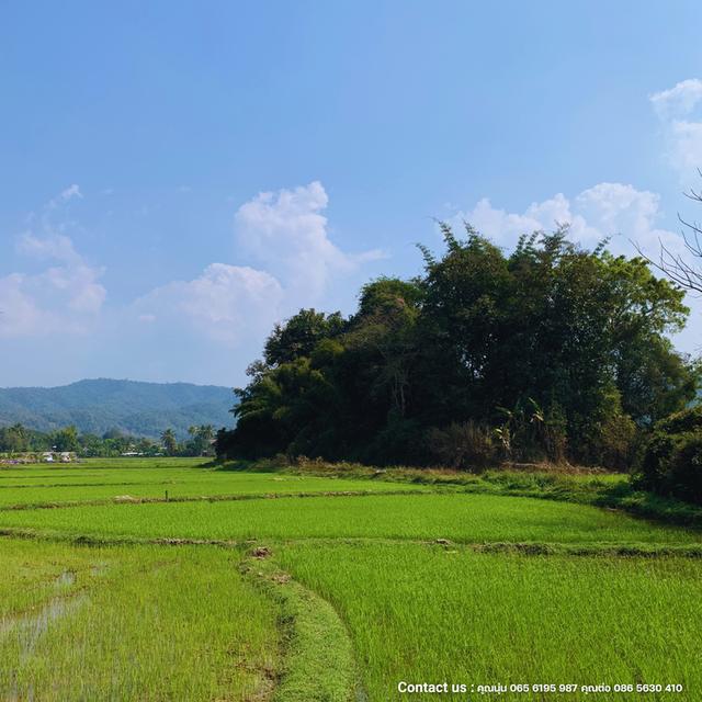 ขายที่ดินติดลำน้ำ เชียงใหม่ ดอยสะเก็ด 7