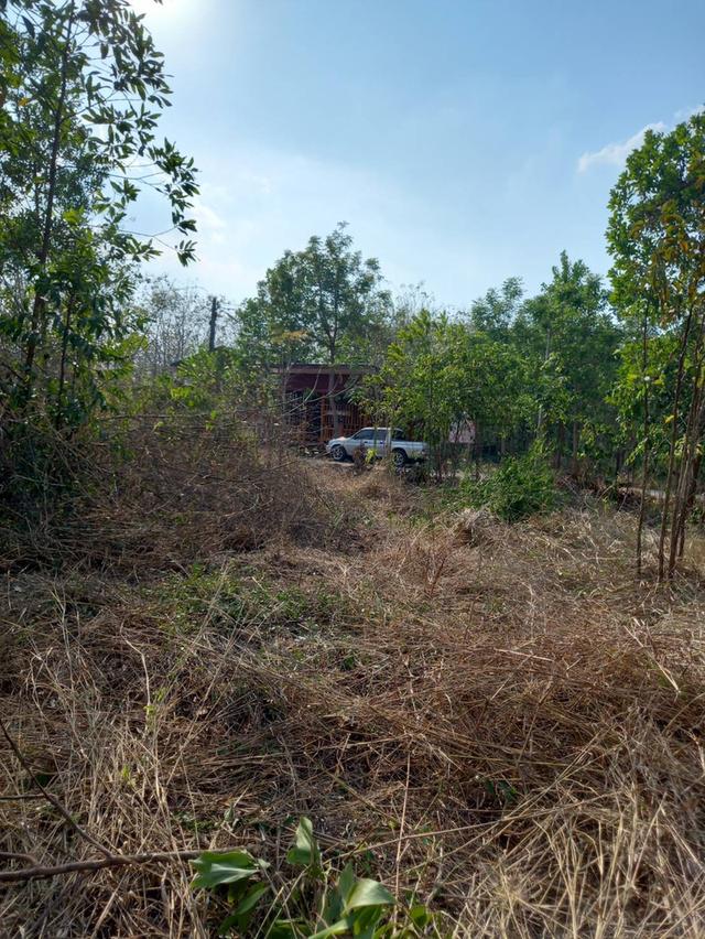 ที่ดินอ.เมืองหวัดสระแก้ว 17