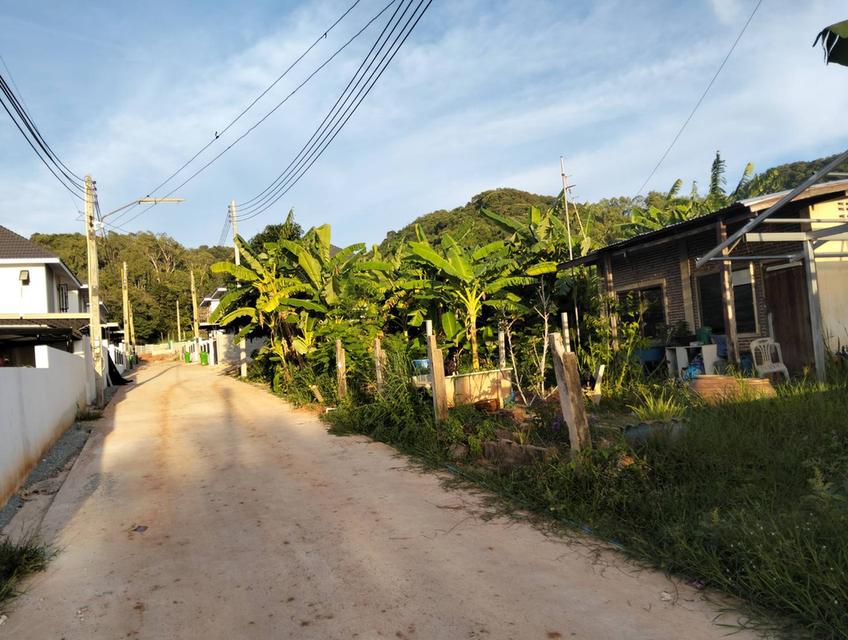 ที่ดิน 59 ตรว.พร้อมบ้าน 1 หลัง แถวศรีราชา ใกล้สุขุมวิท 300 เมตร 1
