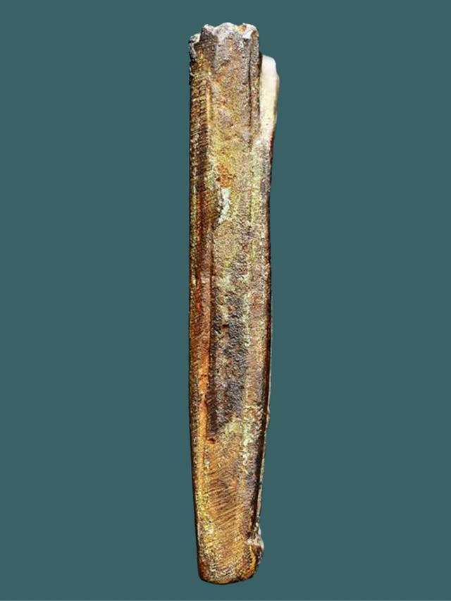 เหรียญหล่อโบราณ หนุมานแบกแท่น หลวงปู่ศุข หลังมีจาร...สวยแชมป์ รูปที่ 4