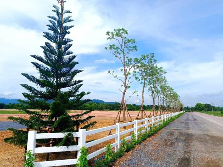 ขายที่ดินจัดสรรพรหมณีติดบรรยากาศวิวเขา 1 ไร่ ใกล้ถ.สุวรรณศร 33และแยก จปร. 3.3 กม. อ.เมืองนครนายก จ.นครนายก 4