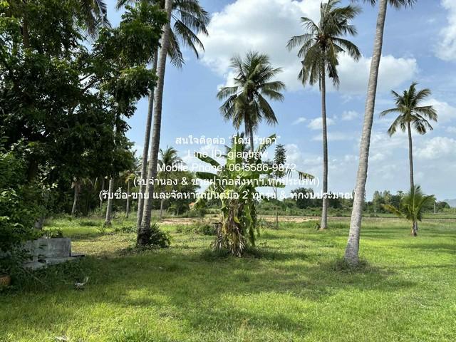 DSL-1106 ขายด่วน ๆ ที่ดิน //ถูกสุด//ขายที่ดินเปล่าติดถนน (ระดับเสมอถนน) 7 ไร่ (ใกล้ท่าอากาศยานโพธาราม) ต.เขาชะงุ้ม อ.โพธ 7