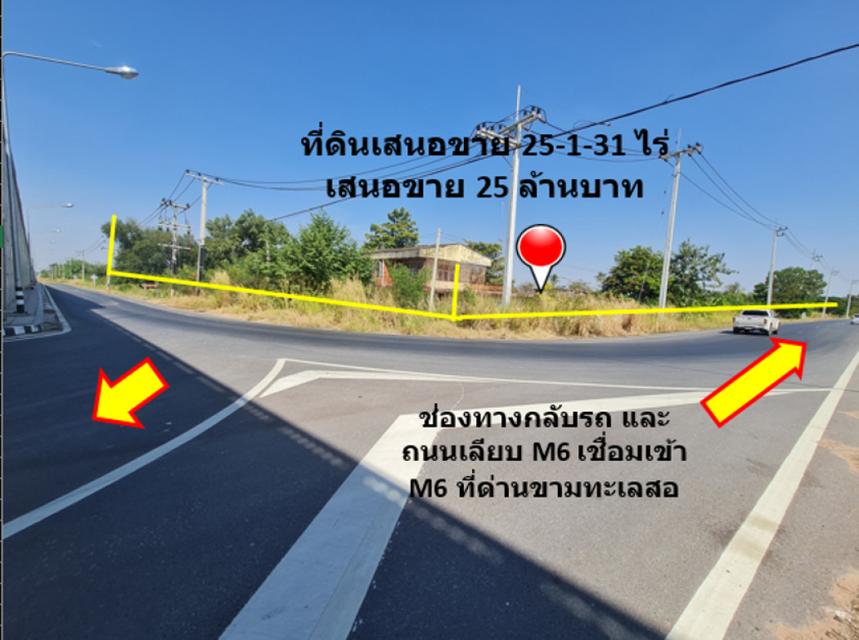 ขาย ที่ดิน ติดถนนสายขามทะเลสอ-โนนไทย  ทล.2068  เชื่อมออกทางหลวงพิเศษ M6 ได้ เนื้อที่ 25 ไร่ 1 งาน 31 ตรว ราคายุติธรรม 6