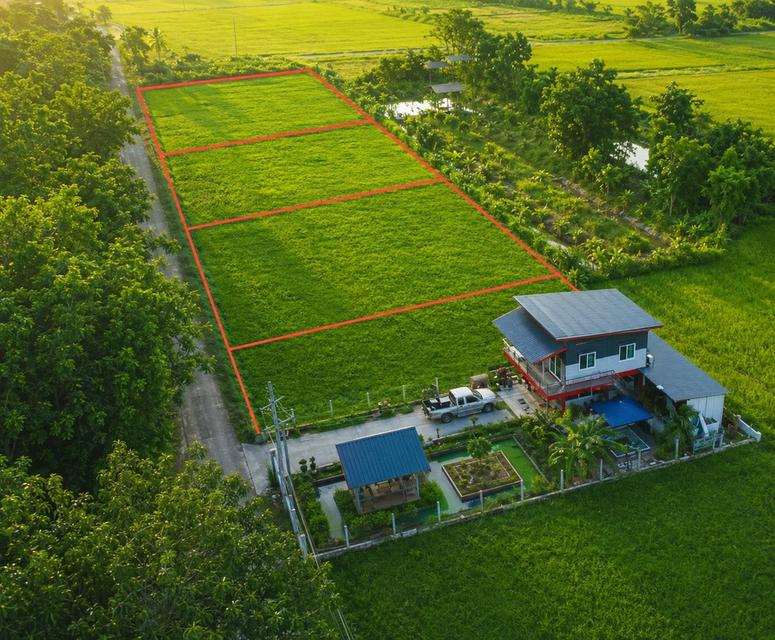 ขายที่ดิน 200 ตร.วา บางบุตร บ้านค่าย ระยอง ใกล้แยกบางบุตร 800 เมตร 2