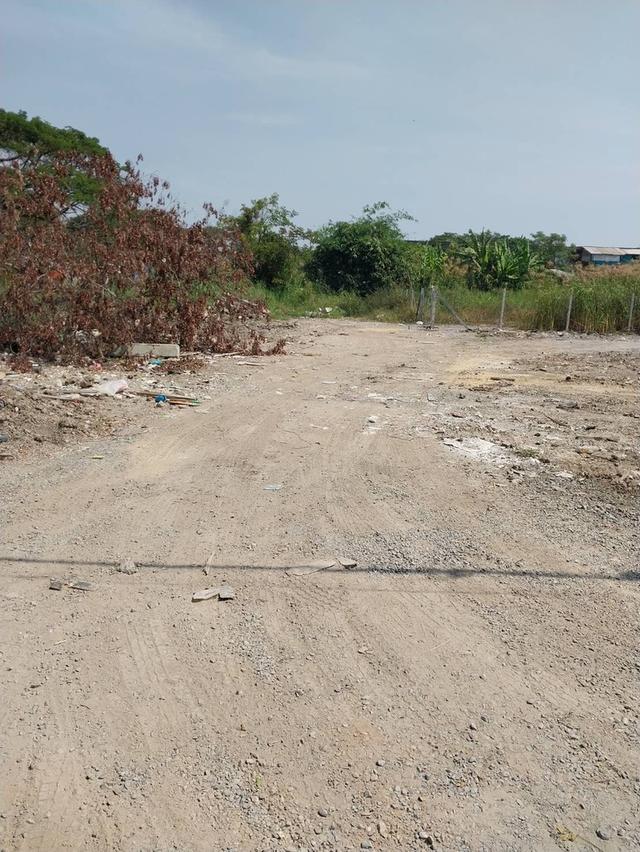 ขายที่ดิน 50/100 ตรว.ใกล้แหล่งชุมชนโรงเรียนใกล้ทางด่วนอุดรรัถยา ม.ธรรมศาสตร์ ศูนย์รังสิต  ม.ปทุมฯตลาดทรัพย์ปทุมทางเข้าซุ้มวัดบัวหลวง โทร081-2056883 3 5