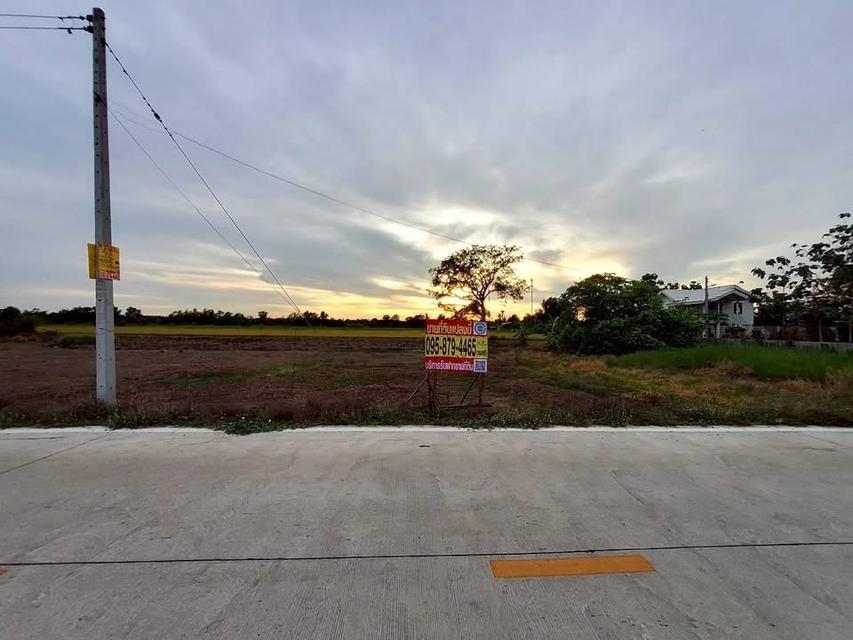 ขายด่วนทีดินติดถนนเลียบคลองห้า 368 ตารางวา ติดถนนคอนกรีตสาธารณะ อ.คลองหลวง จ.ปทุมธานี 1