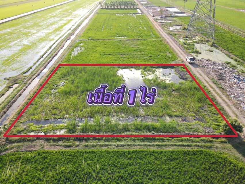 ขายที่ดินลำลูกกาเนื้อที่ 1 ไร่ คลอง8 ใกล้ถนนเส้น3006-2กม. จ.ปทุมธานี 2