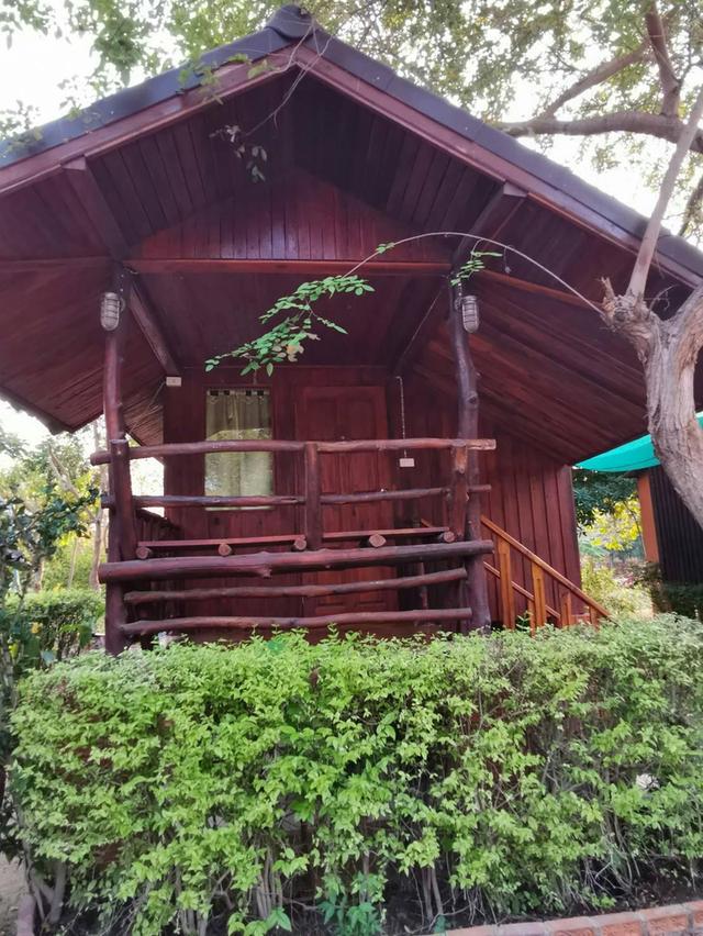 ขายรีสอร์ทพร้อมบ้านพักไม้สักแท้ 3