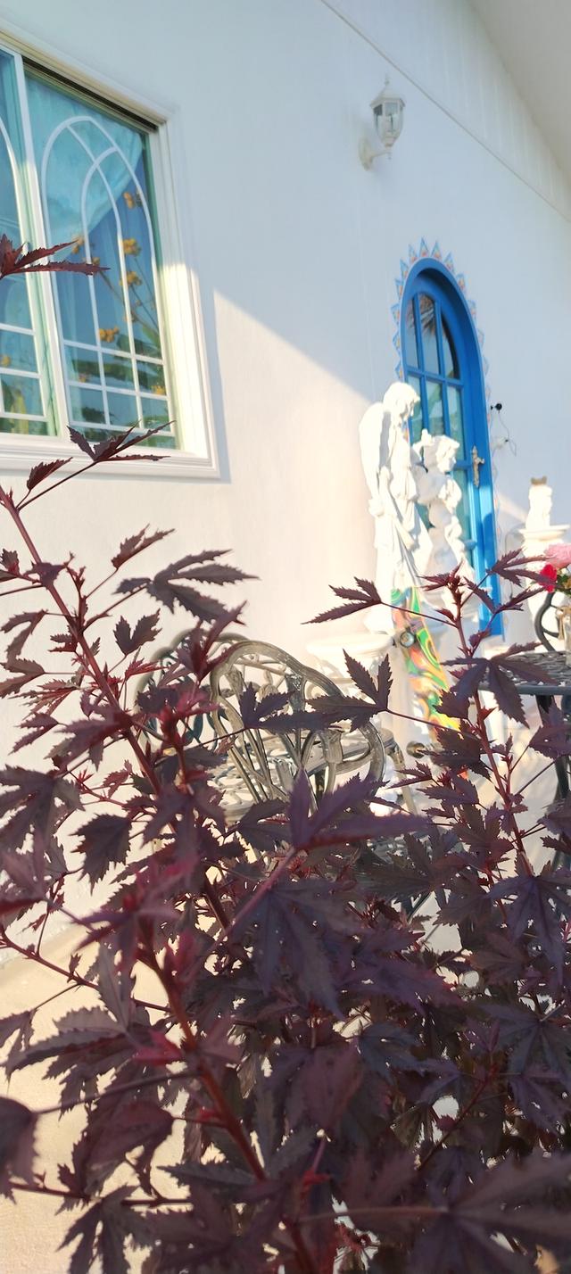 บ้านพร้อมที่ดิน215ตรว​ 3.8ล้าน 3