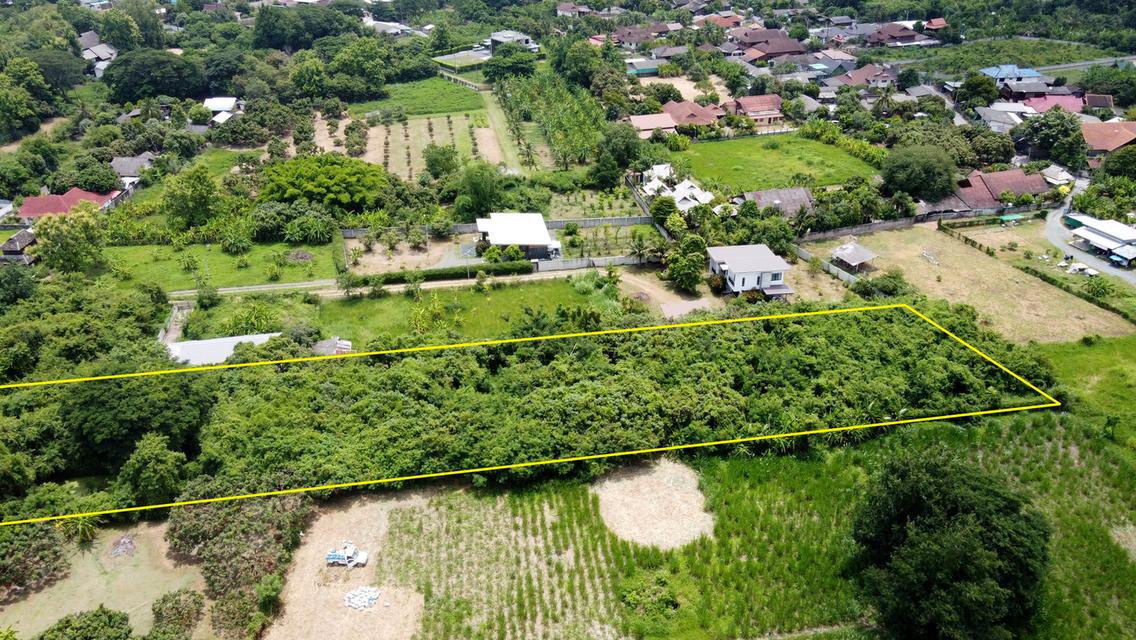  ที่ดิน 3-0-8 ไร่ ถูกกว่าประเมินกรมที่ดิน ใกล้สันกำแพงสายเก่า 350 ม.  5