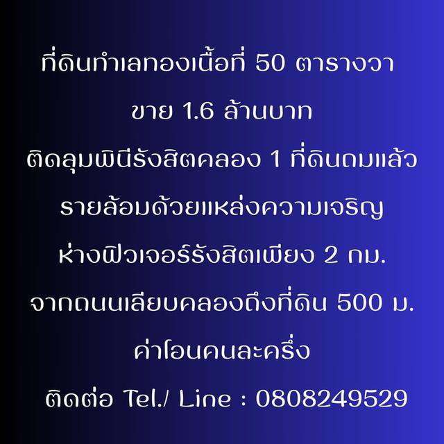 เนื้อที่ 50 ตารางวา ขาย 1.6 ล้าน รังสิตคลอง1(32,000.-/ ตร.วา)   ติดลุมพินีรังสิตคลอง 1 ที่ดินถมแล้ว 1