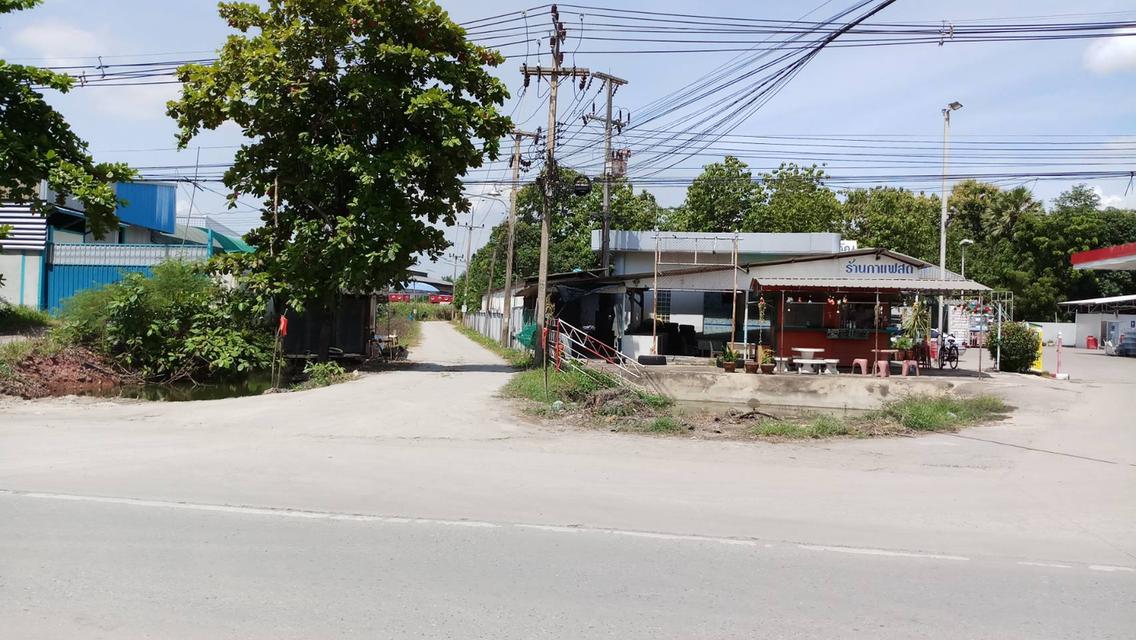 ขายที่ดินแปลงหัวมุม ติดถนน 2 ด้าน เนื้อที่ 231 ตรว. ถนนพุทธมณฑลสาย 7  5