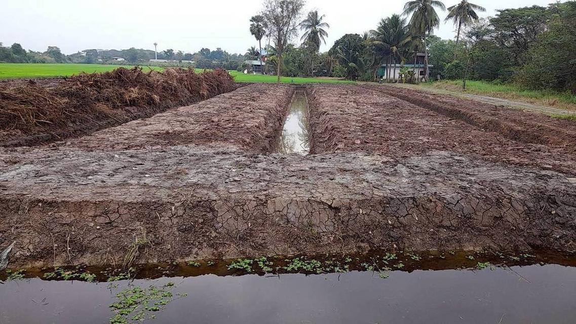 ขายที่ดิน ทำเลดี ที่สวย 2