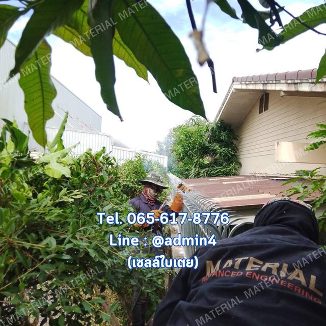 รั้วศรเหล็กแหลม