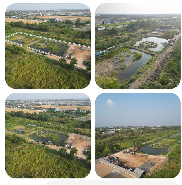 ที่ดินคลอง 4 อ.คลองหลวง จ.ปทุมธานี 7