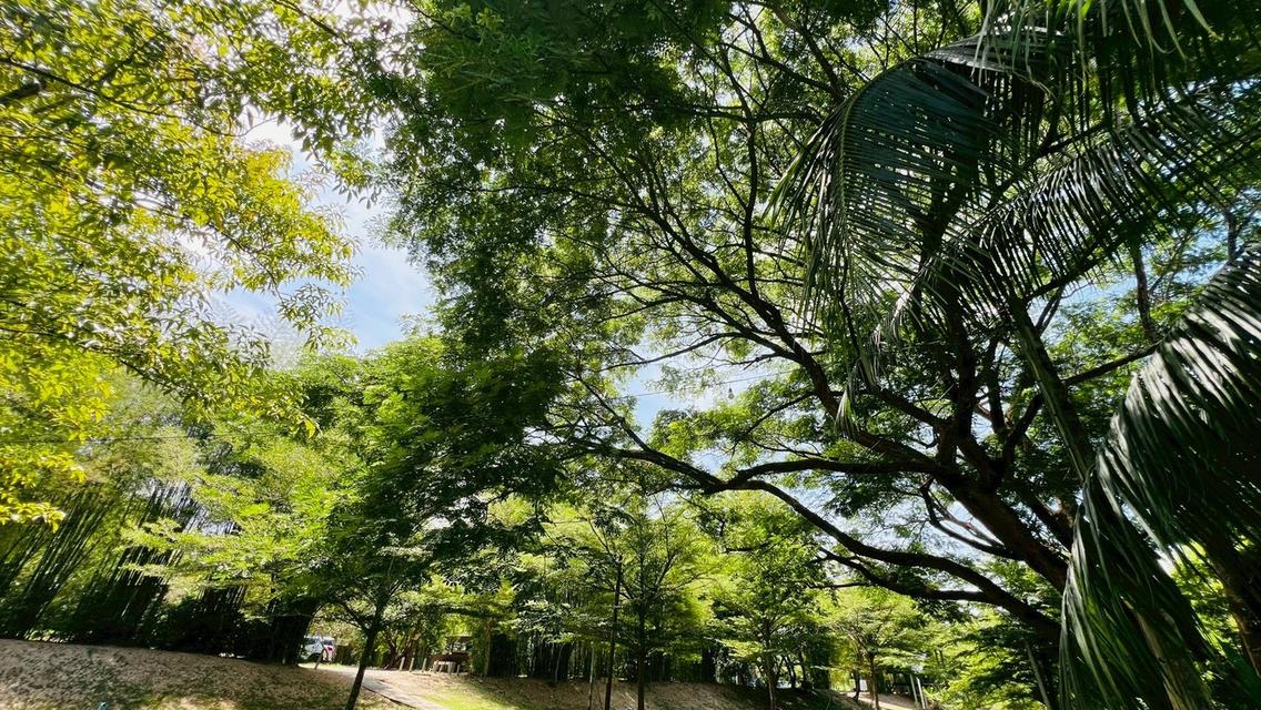 ที่ดินริมน้ำนครนายก ทำเลสาริกา สำหรับบ้านพักและการลงทุน 4