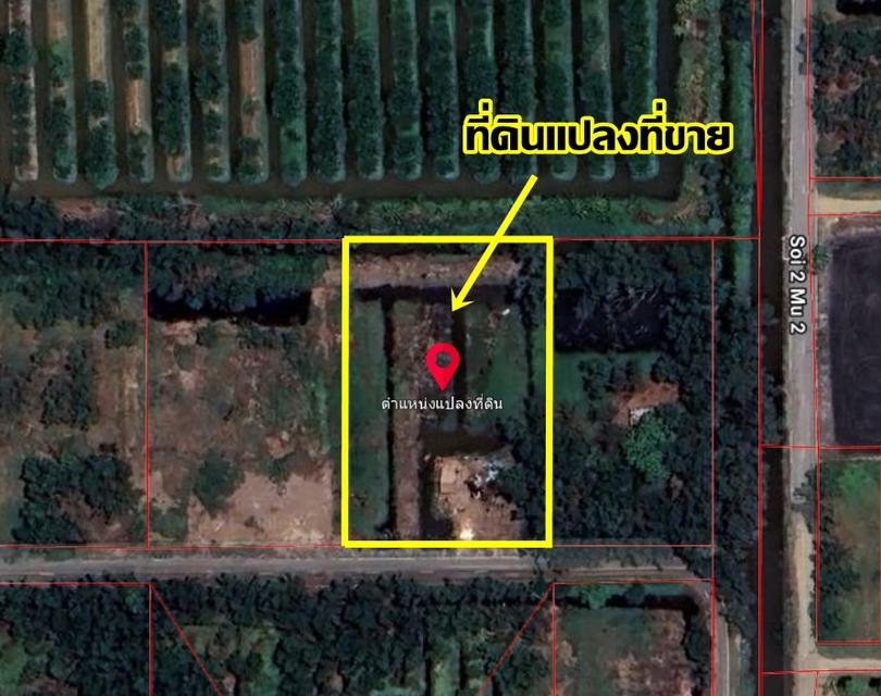ขายที่ดินเปล่า คลอง10 หนองเสือ ใกล้อบต.บึงกาสาม 5