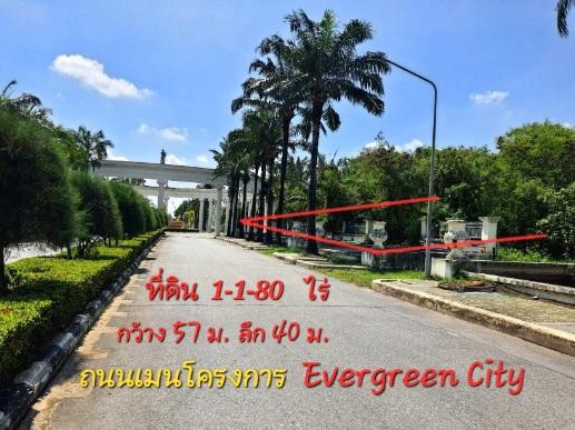 《ยินดีรับนายหน้า》ขายที่ดิน 274 ตร.ว โครงการ เอเวอร์กรีน ซิตี้ ใกล้รถไฟฟ้าMRTหลักสอง เดอะมอลล์บางแค 4