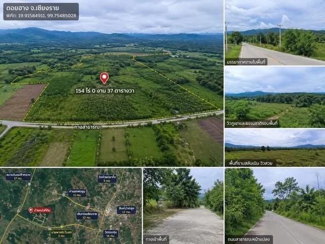 ที่ดินแปลงใหญ่ 154 ไร่ วิวภูเขา ทำเลศักยภาพ เมืองเชียงราย  ราคาเพียง 350,000 บาท / ไร่ 2