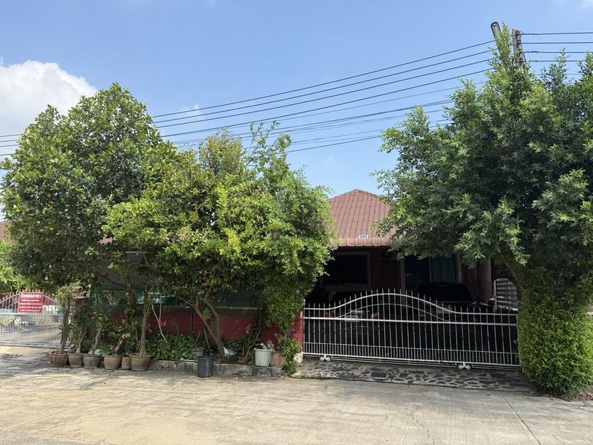 บ้านเดี่ยวชั้นเดียวยกสูง 3 นอน 2น้ำ 3 ที่จอดรถ 4