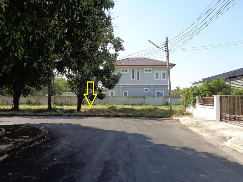 🚩 ขายที่ดินแปลงหัวมุม 129 ตารางวา ราคาถูกสุด❗ ทำเลดี ภายในโครงการหรูมีระดับ 14