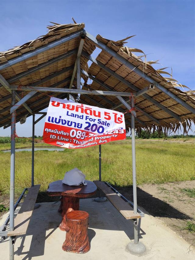 Sale large land 9.3 Rais suitable for projects or building house etc, can be subdivided Kamphaeng Saen District, Nakhon Pathom Province near Bangkok 3