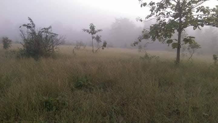 ที่รอออกเอกสารสิทธิ์7ไร่1งาน72ตารางวายกแปลง 220,000บาท​ ล้อมรั้วลวดหนามเรียบร้อย ติดถนนสาธารณะ 2ด้าน  มีต้นลำใยต้นมะม่วง ไผ่ มะพร้าว ต้นสัก ต้นมะขาม 3