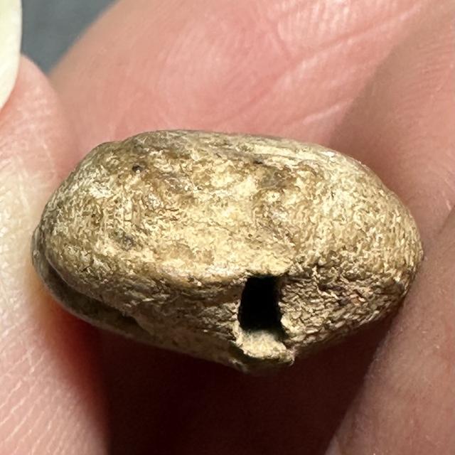 ลูกแป้งกำแพงแท้ เนื้อละเอียด มีนวลดินตามซอกเดิม รูปที่ 6