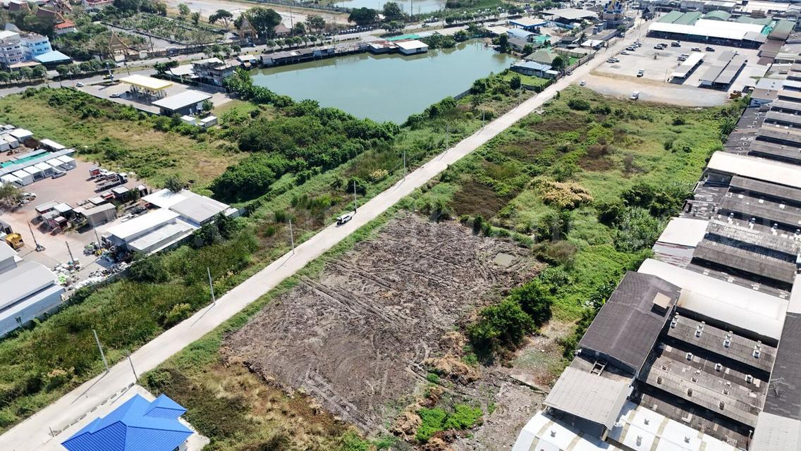 ที่ดินเปล่า 4 ไร่ แบ่งขายได้แปลงละ 1 ไร่ บางปะกง - ฉะเชิงเทรา ราคาถูก 8