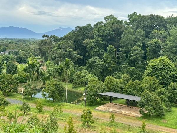 สวนทุเรียนขั้นบันได บ้านตากอากาศบนเขา พร้อมโฉนด! วิวหลักล้าน 11ไร่ อ.มะขาม จันทบุรี โทร 0830132000 10