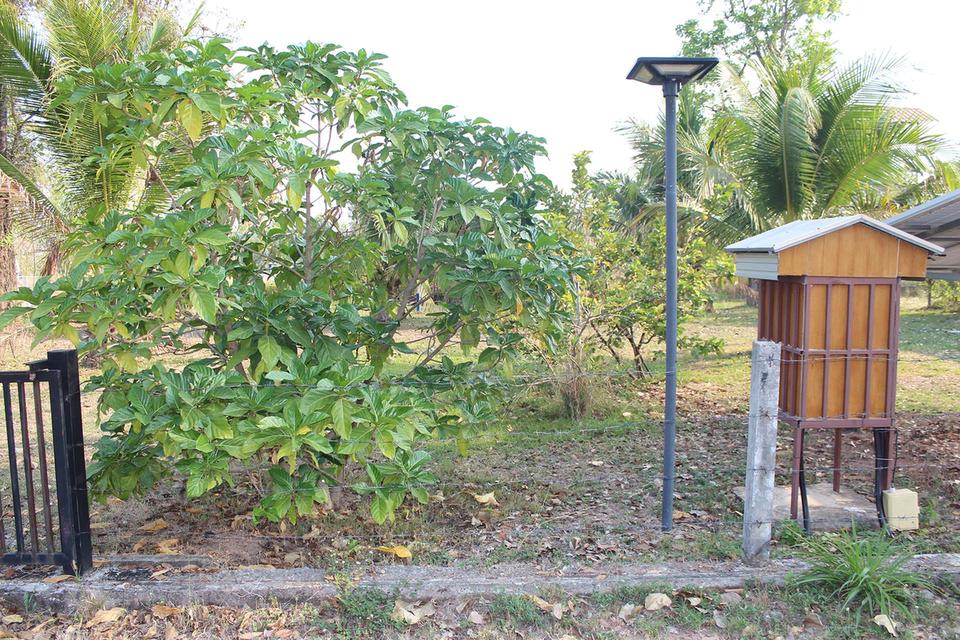 Thai house for sale in KhonKaen 14