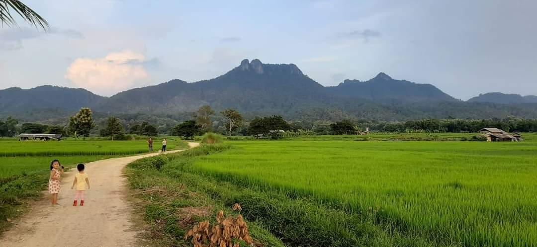 ที่ดิน จ.ลำปาง ที่นา วิวสวยบรรยากาศดี 10