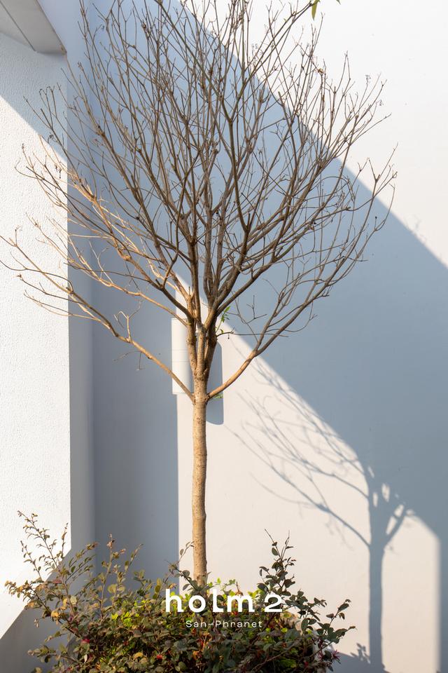 บ้านแฝด 3 ห้องนอน 3 ห้องน้ำ สันพระเนตร 11