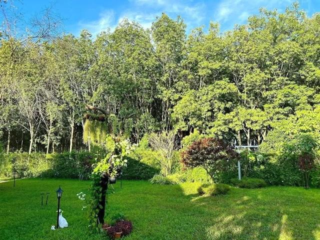 Big C แปลงยาว ตลาดวันไนท์เกตเวย์ 2.1 กมแยกนิคมเกตเวย์ วัดกุฎชี 100 ม.ให้เช่าบ้านเดี่ยวชั้นเดียวสุดหรู หลังใหญ่ 100 ตร.ว. 4