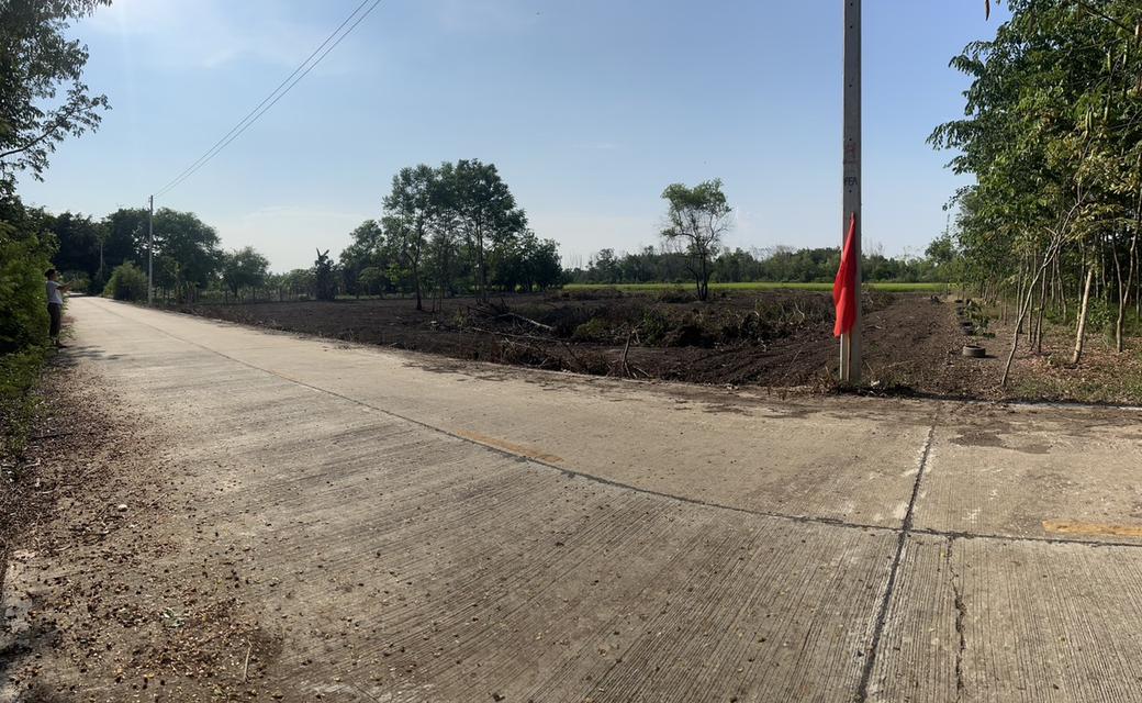 ขายที่ดิน 2 ไร่ พิกัด คลองหก อำเภอคลองหลวง ปทุมธานี