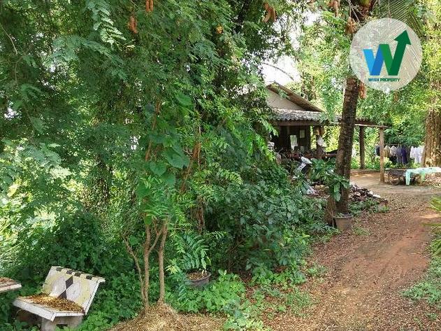 ขายที่ดินสวย ทำเลดี ใกล้บิ๊กซี ขอนแก่น2 6