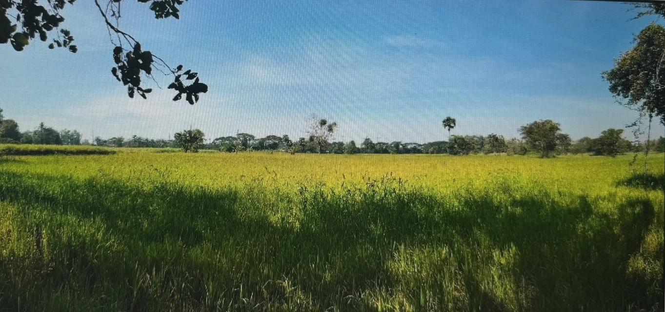 ขาย ที่ดินพร้อมสิ่งปลูกสร้าง โกดัง สำนักงาน 1 ชั้น พร้อมใบประกอบ รง.4 4