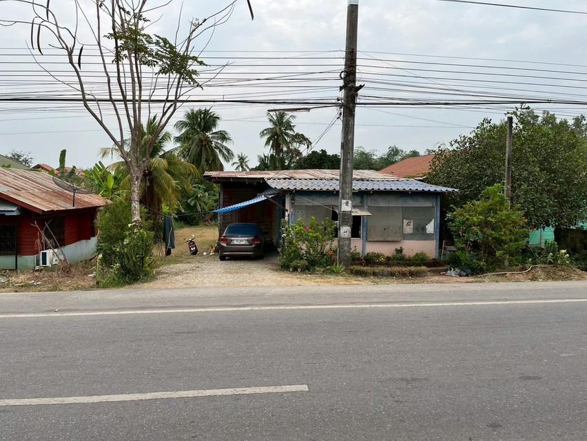 ขายที่ดินติดถนนเมืองสุโขทัยไม่มีน้ำท่วม 1