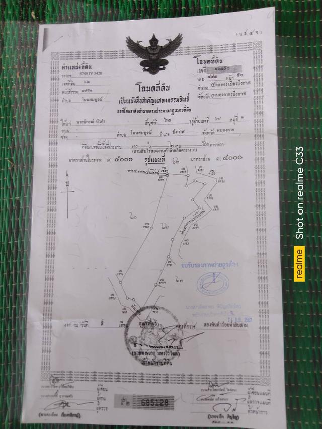 ขายที่ดิน 30 กว่าไร่จังหวัดบึงกาฬ 1